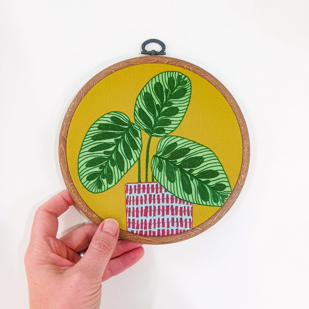 stitch club 6/2024 peacock plant cozyblue