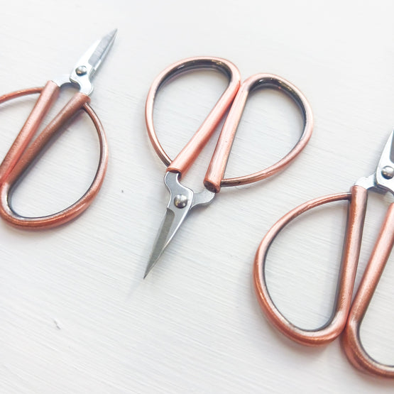 petites scissors