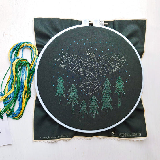 the crow embroidery kit