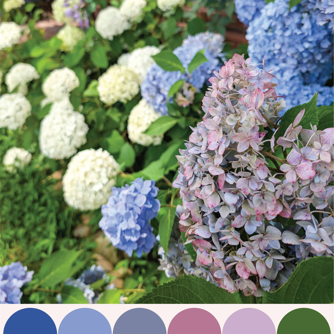 color stories: july 2025